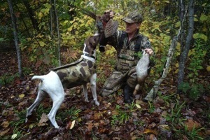 Clover with Pheasant and Mallard